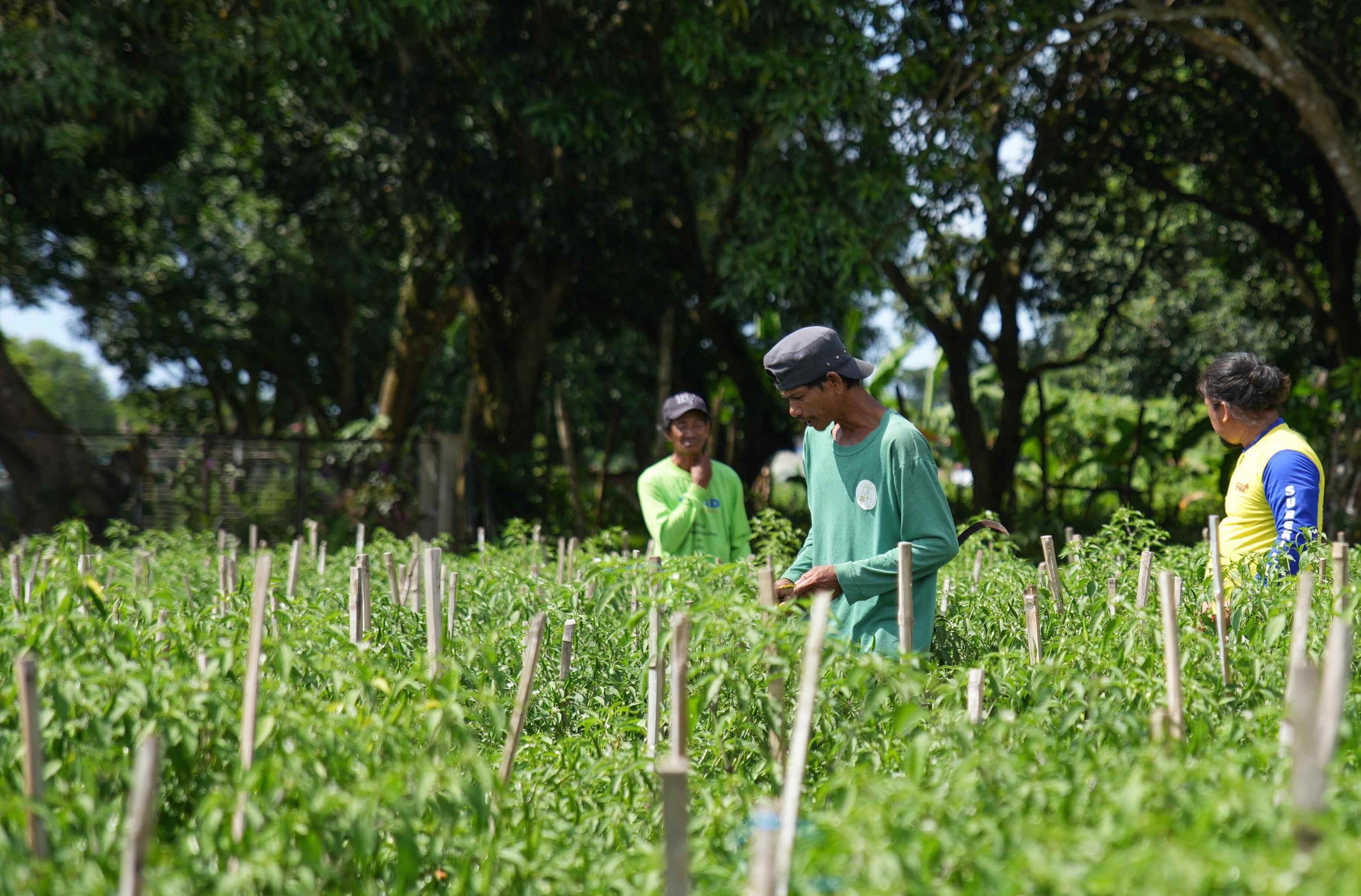 Agricultural career fair with job seekers and employers